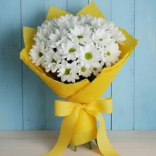 Букет цветов из:  Хризантемы в Павловка Башкортостан
