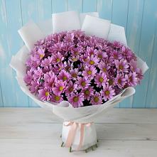 Букет цветов из:  Хризантемы в Павловка Башкортостан