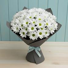 Букет цветов из:  Хризантемы #REPLACE_PRED# Павловка Башкортостан