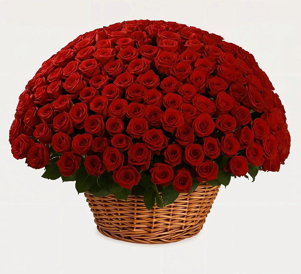 Премиум букет из: Розы в Павловка Башкортостан