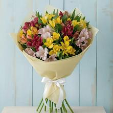 Букет цветов из:  Альстромерии в Павловка Башкортостан