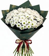 Букет цветов из:  Хризантемы в Павловка Башкортостан