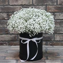 Цветочная композиция из Гипсофила в шляпной коробке в Павловка Башкортостан