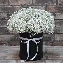 Цветочная композиция из Гипсофила в шляпной коробке в Павловка Башкортостан