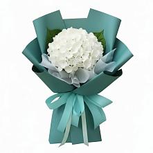 Букет цветов из:  Гортензия в Павловка Башкортостан